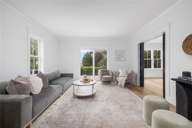 104 Second St, Newport, RI 02840 - living room featuring wood finished floors, healthy amount of natural light, crown molding, and baseboards