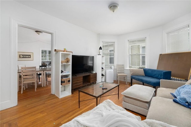 living room featuring wood finished floors