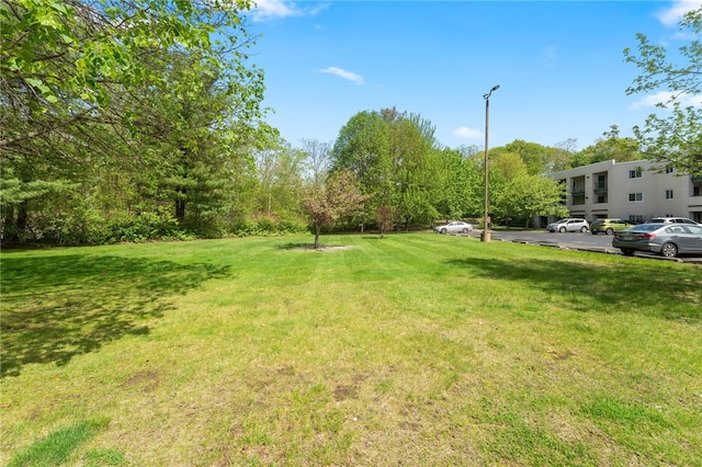 view of green lawn