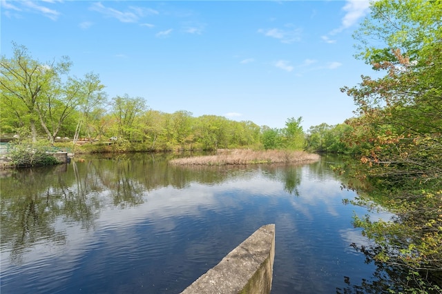 dock with a water view and a wooded view