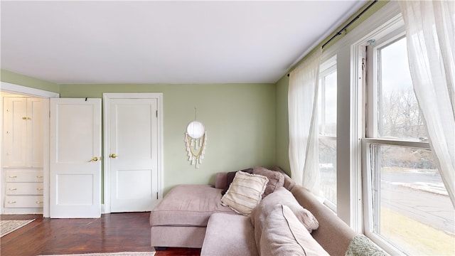 living room featuring dark wood-type flooring