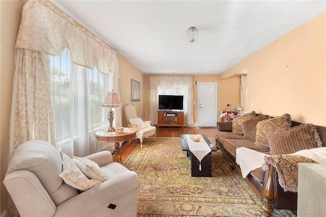 living area featuring wood finished floors