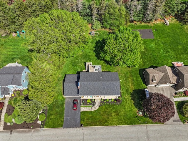 bird's eye view