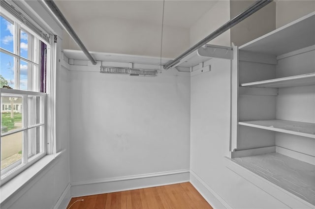 57 Sylvan Rd, East Providence, RI 02916 - walk in closet with light wood-style flooring