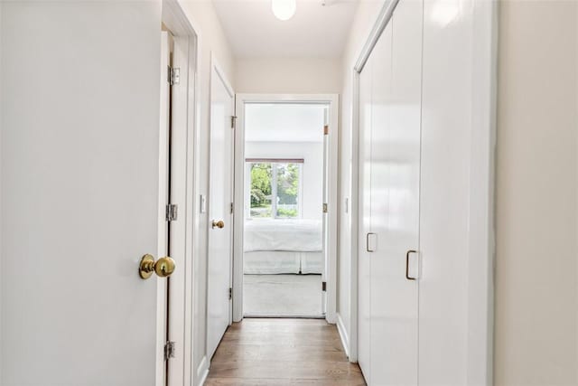 26 Bagy Wrinkle Cv, Warren, RI 02885 - corridor with light wood finished floors