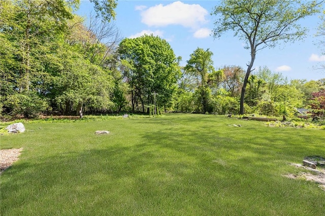 40 Charlotte Ave, North Kingstown, RI 02874 - view of grassy yard