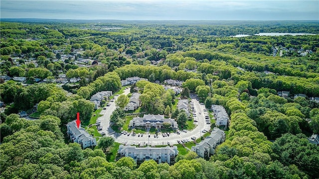 aerial view of a forest