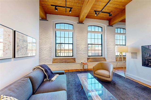 sitting room with wooden ceiling, track lighting, plenty of natural light, wood finished floors, and beam ceiling