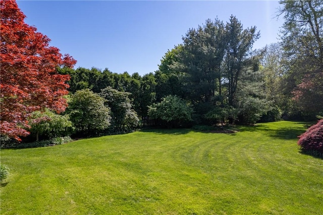 2 Cherry Ln, Bristol, RI 02809 - view of green lawn