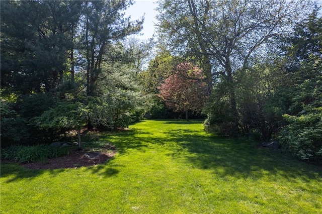 2 Cherry Ln, Bristol, RI 02809 - view of green lawn with a view of trees