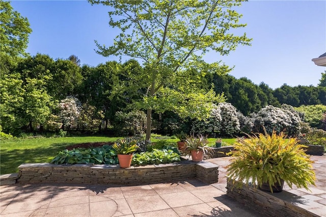 2 Cherry Ln, Bristol, RI 02809 - view of patio / terrace