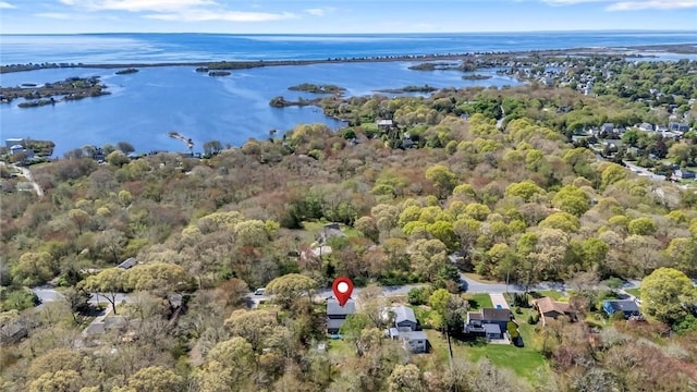 bird's eye view of a large body of water and a forest