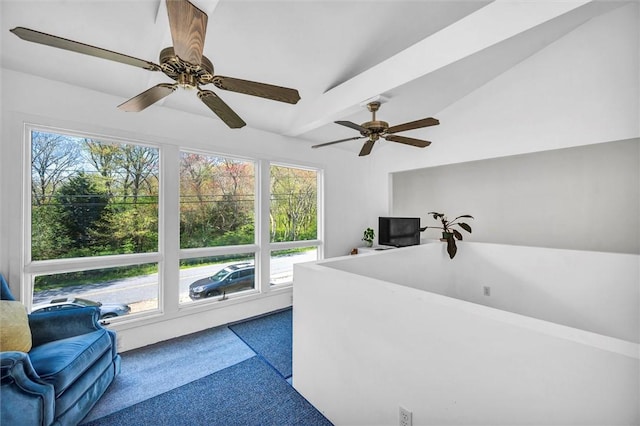 interior space featuring carpet floors and ceiling fan