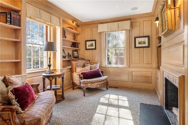 125 Grotto Ave, Providence, RI 02906 - living area with plenty of natural light, carpet, a fireplace with flush hearth, built in shelves, and wood walls