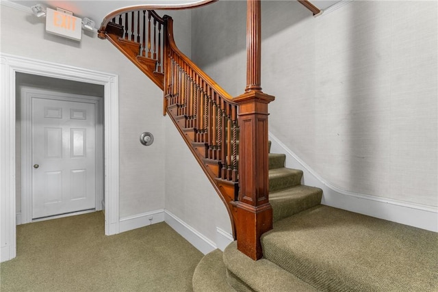 staircase with carpet
