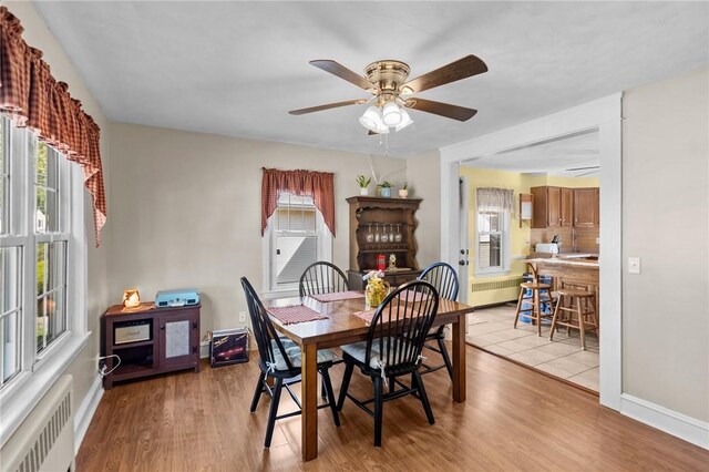 dining room with radiator, light wood-style flooring, ceiling fan, and baseboards