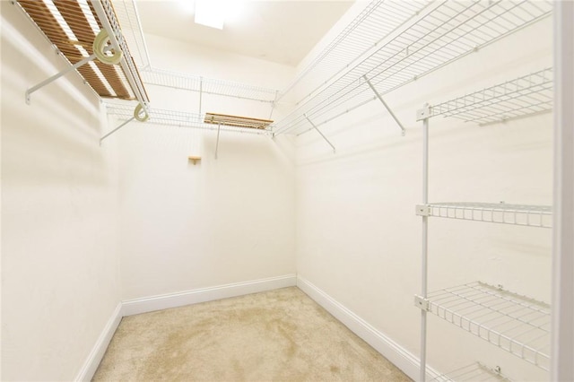 200 Roger Williams Ave Unit 106, East Providence, RI 02916 - walk in closet featuring light colored carpet