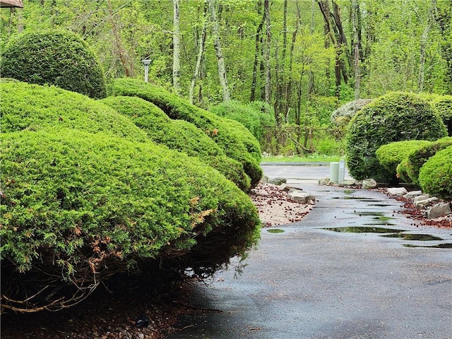 29 School St Unit 12E, Westerly, RI 02891 - view of community featuring a forest view