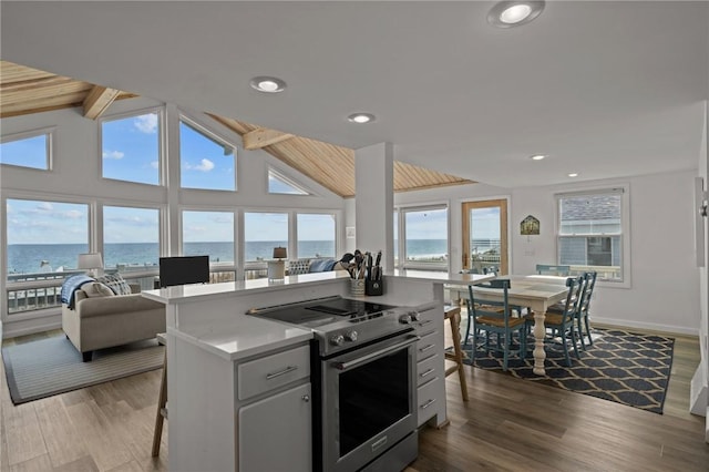 419 Atlantic Ave, Westerly, RI 02891 - kitchen with stainless steel range with electric cooktop, open floor plan, dark wood finished floors, a kitchen island, and light countertops