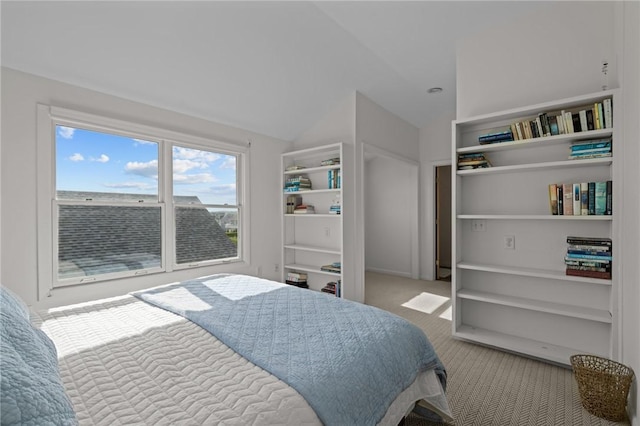 419 Atlantic Ave, Westerly, RI 02891 - bedroom featuring carpet and lofted ceiling