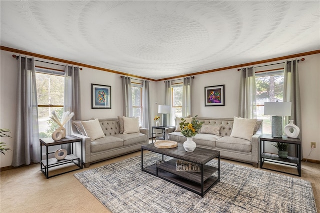 101 Nancy Ln, Burrillville, RI 02830 - living area with plenty of natural light, light carpet, crown molding, and baseboards