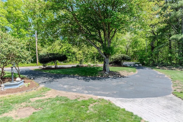 103 Carrs Pond Rd, West Greenwich, RI 02817 - view of property's community with asphalt driveway