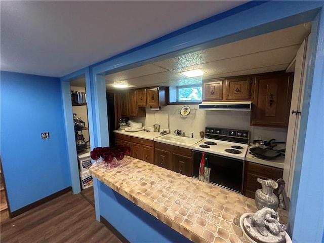 kitchen featuring electric range, range hood, a sink, and light countertops