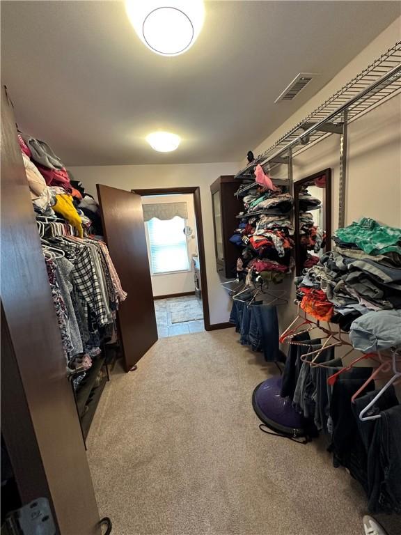 spacious closet featuring light carpet