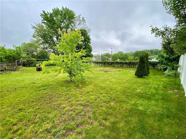 view of green lawn