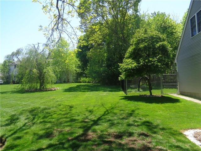 view of yard