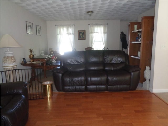 living area featuring wood finished floors