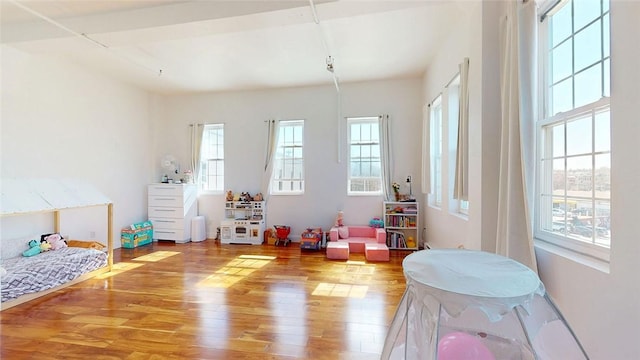 game room with wood finished floors