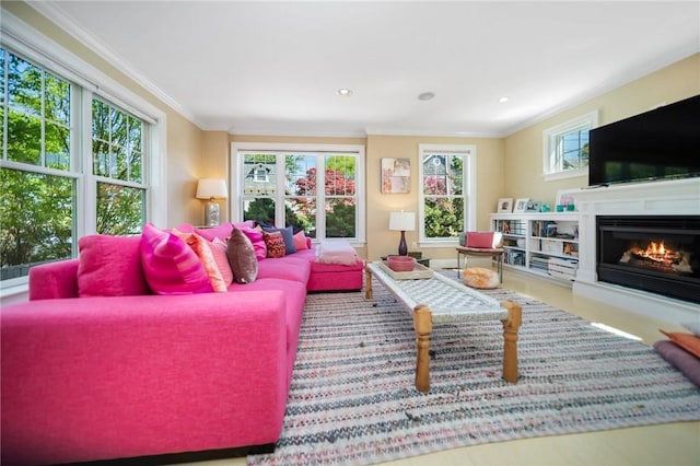 9 Casey Ct, Newport, RI 02840 - living area with a glass covered fireplace, ornamental molding, and recessed lighting