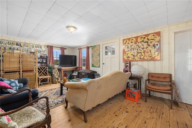 living room with hardwood / wood-style flooring