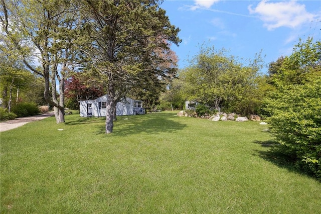 view of green lawn
