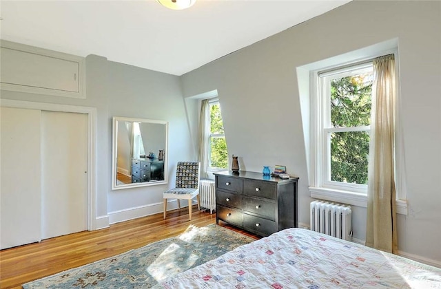 bedroom with radiator heating unit, wood finished floors, and multiple windows