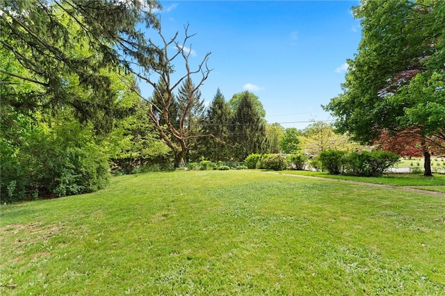 18 W St, Hopkinton, RI 02804 - view of green lawn