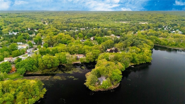 12 Hazel Point Rd, Smithfield, RI 02917 - bird's eye view of a heavily wooded area and a nearby body of water