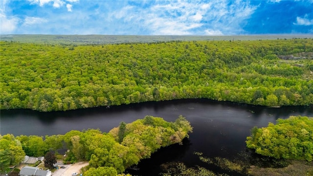 12 Hazel Point Rd, Smithfield, RI 02917 - drone / aerial view of a heavily wooded area and a large body of water