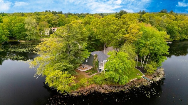 12 Hazel Point Rd, Smithfield, RI 02917 - view from above of property featuring a nearby body of water and a heavily wooded area