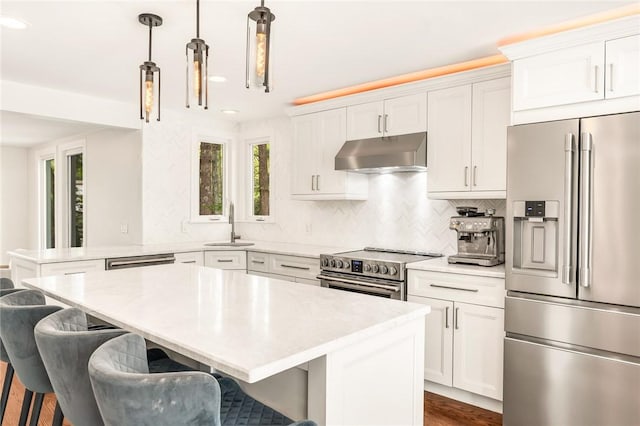 12 Hazel Point Rd, Smithfield, RI 02917 - kitchen with appliances with stainless steel finishes, under cabinet range hood, a sink, light countertops, and backsplash