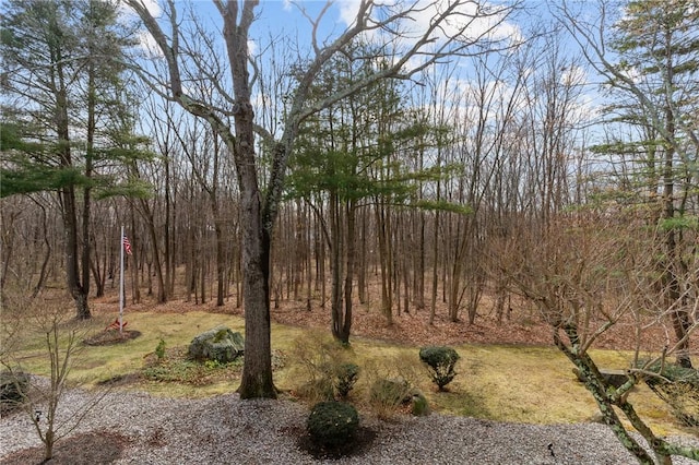 143 Hoffman Ave Unit 210, Cranston, RI 02920 - view of yard