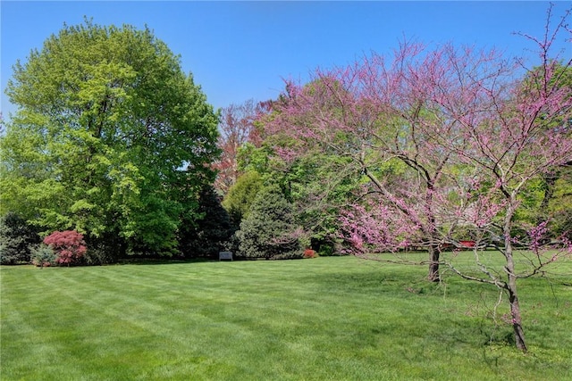 14 Leroy Ave, Newport, RI 02840 - view of grassy yard