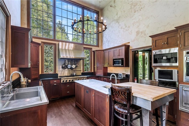 14 Leroy Ave, Newport, RI 02840 - kitchen featuring extractor fan, stainless steel appliances, a towering ceiling, healthy amount of natural light, and dark wood-style floors