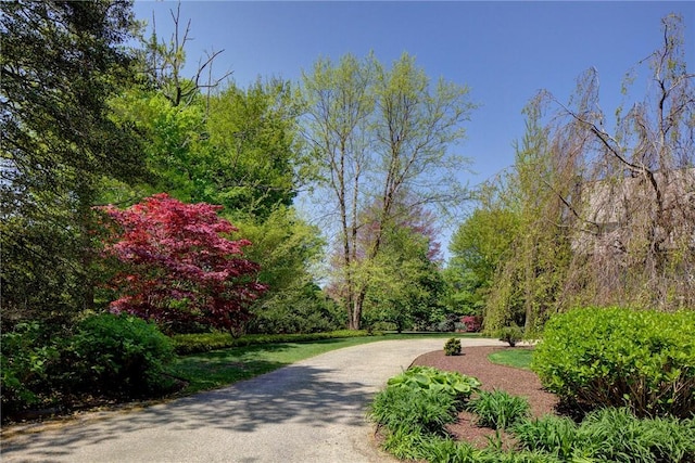 14 Leroy Ave, Newport, RI 02840 - view of property's community with driveway