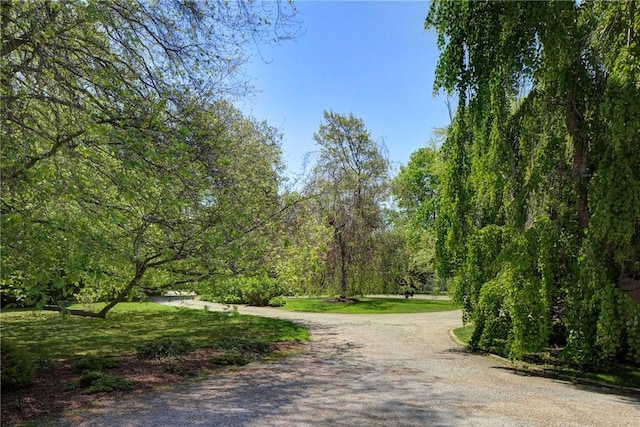 14 Leroy Ave, Newport, RI 02840 - surrounding community with driveway