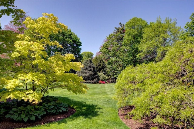 14 Leroy Ave, Newport, RI 02840 - view of green lawn