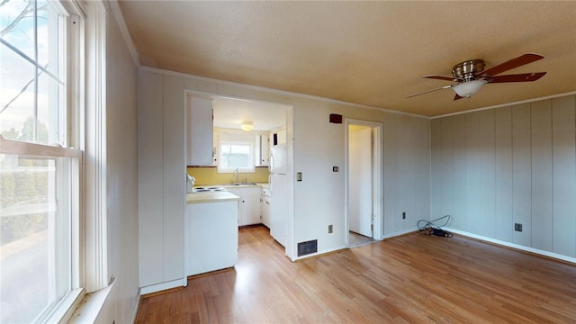 226 Marshall Ave, Cumberland, RI 02864 - empty room featuring ornamental molding, a ceiling fan, light wood-style floors, and a sink