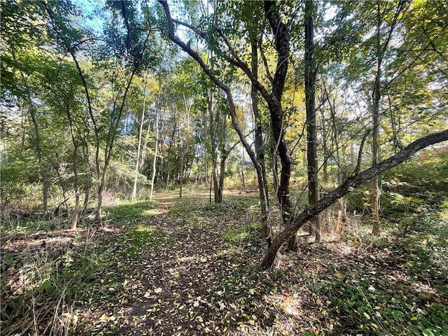 8 Aldrich St, Hopkinton, RI 02898 - view of wooded area