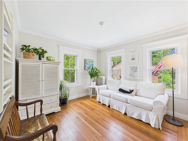 39 Union St, East Greenwich, RI 02818 - living room with wood-type flooring, baseboards, crown molding, and radiator